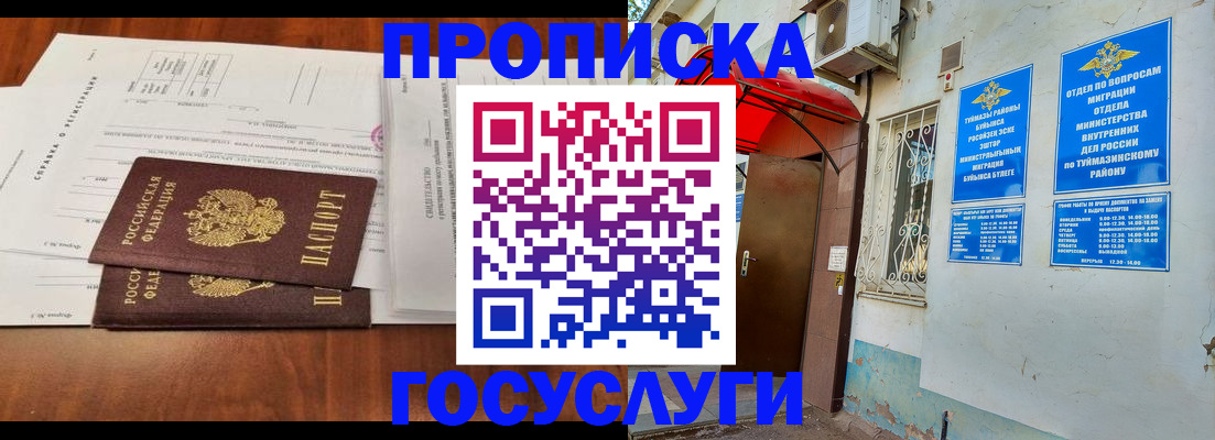 прописка в квартире в Купино